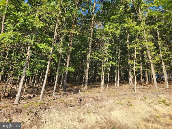 PARCEL 79.4 Sugar Hollow Rd, Berkeley Springs, WV 25411