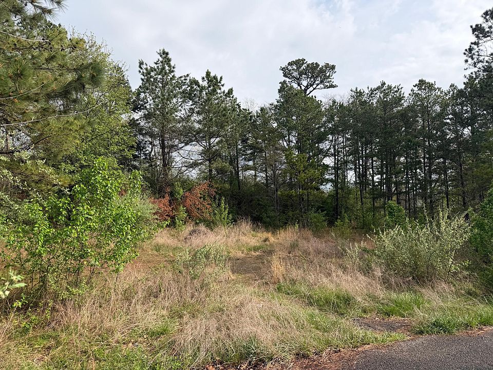 2nd image of 205 Valley Ln