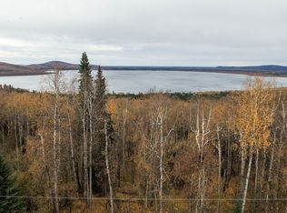 White Birch Rd LOT 6, Salcha, AK 99714