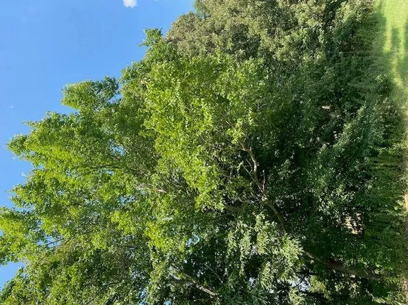 4 Richardson Landing Ln #4, Drummonds, TN 38023