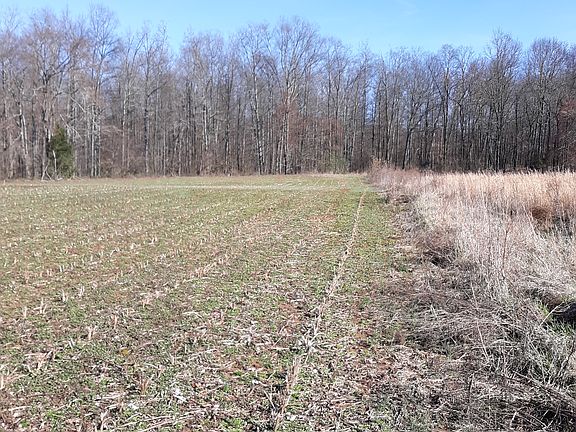 Property line to the right
