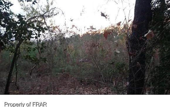 2nd image of 229 Cypress Rd