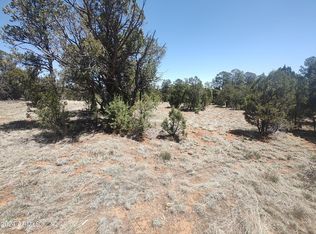 3328 Apache Dr #342, Overgaard, AZ 85933