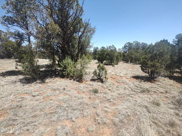 3328 APACHE Drive #342, Overgaard, AZ 85933