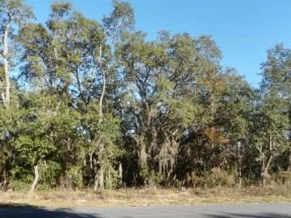 459 W Liberty St, Hernando, FL 34442