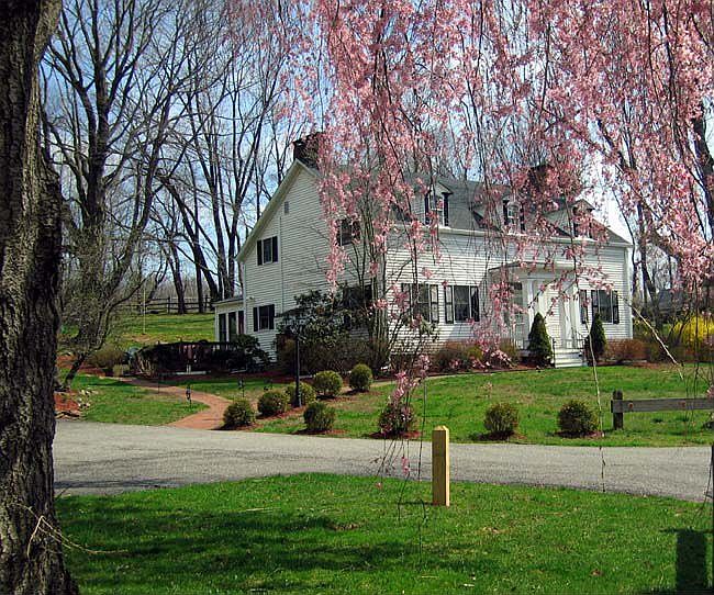 Front elevation looking across driveway