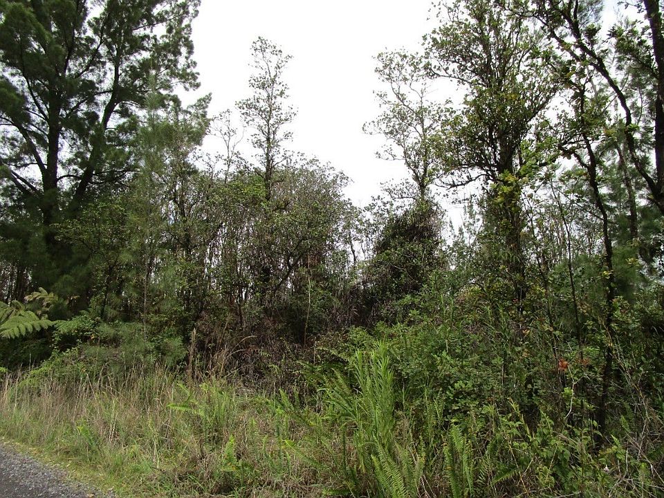 2nd image of Malia Aina Rd