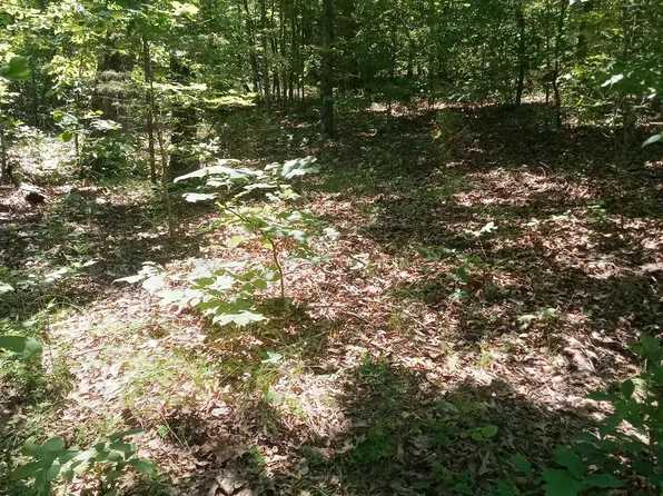 314 Country Spring Rd, Glencoe, AR 72539