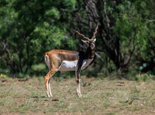 16251 Door Key Rd, Christoval, TX 76935