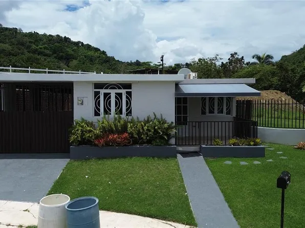E Twenty Calle #4, Caguas, PR 00725