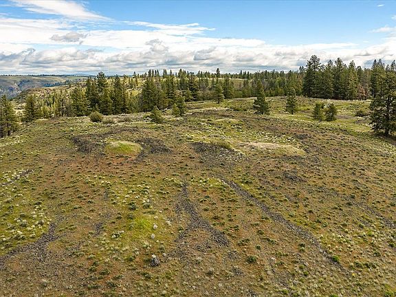 3rd image of 231 Hawk Creek Ranch Rd N