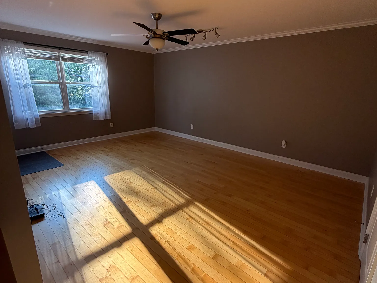 1 bed, 616 sqft, $1,300 — Photo 3