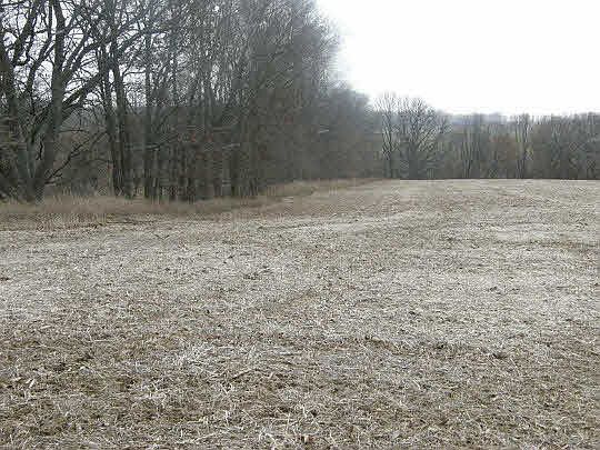 2nd image of 3000 W Pines Rd