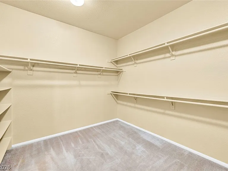 10792 Vineyard Pass St #0 — Photo 58