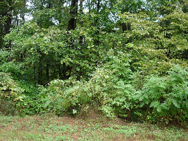 1st image of Tetsworth Ln