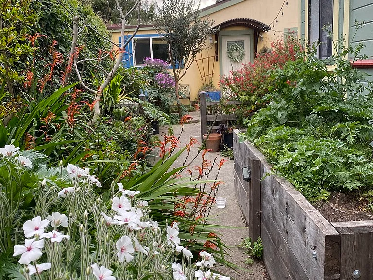Garden boxes