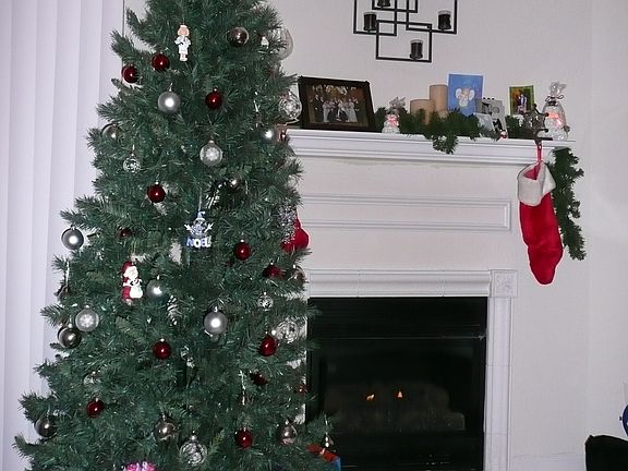 gas fireplace