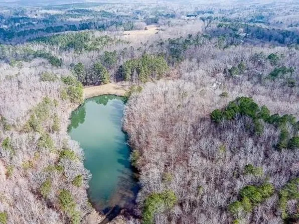 0 Williams Ln #D, Ball Ground, GA 30107