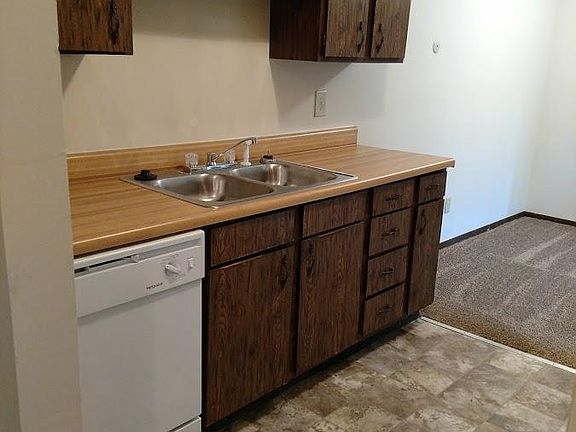 Great cabinet and counter space, with double sink and brand 