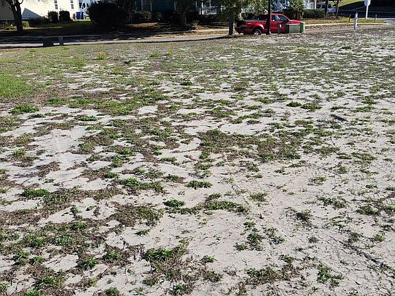 5th image of 1312 James Island Ave. Lot 167