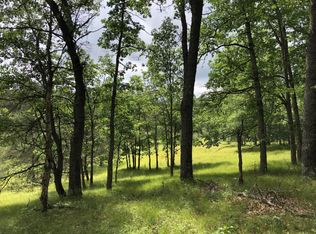 N Dexter Rd, Irons, MI 49644