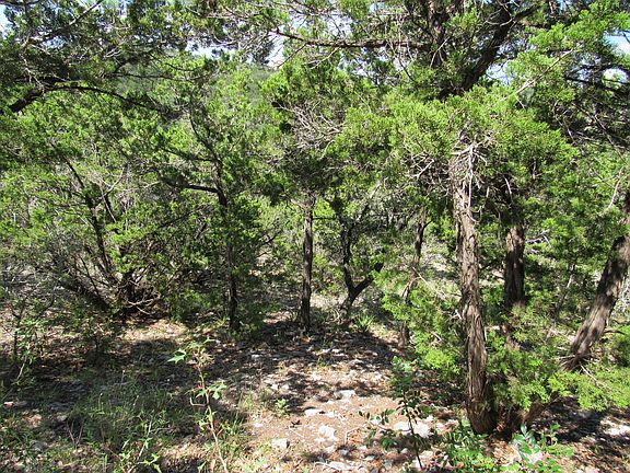 3rd image of PR 1734 Lot 113D