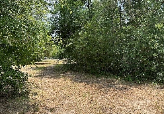 4th image of 9849 NW 9th Ct