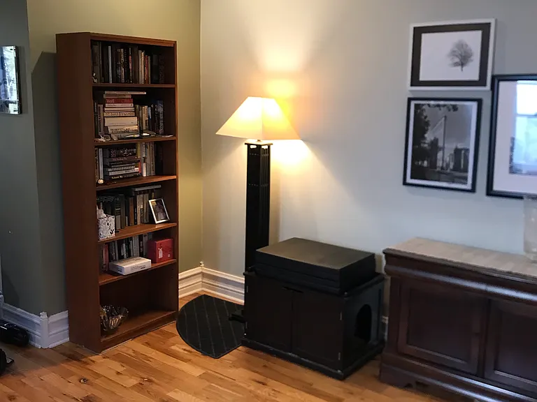 high ceilings with vintage molding and recessed lighting beautifully combine vintage and contemporary