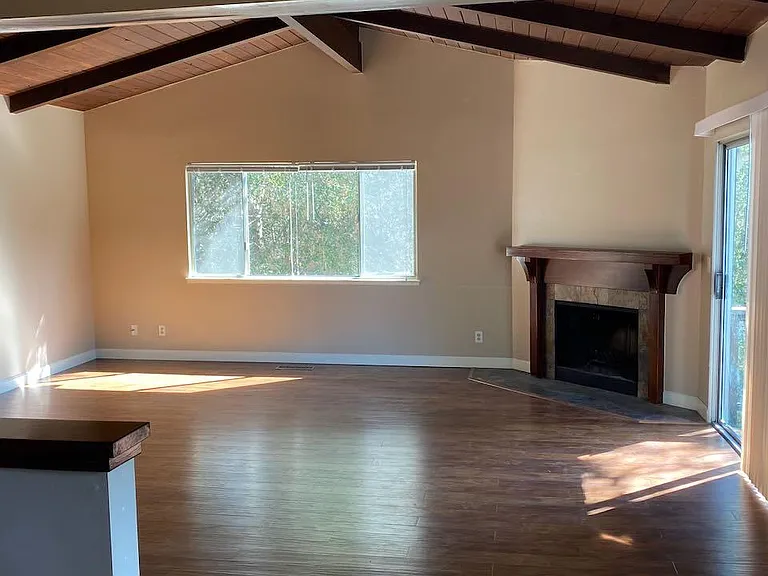 20' x 20' great room with working fireplace