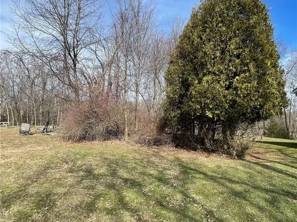 Rustic Rook Rd, Chippewa Lake, OH 44215