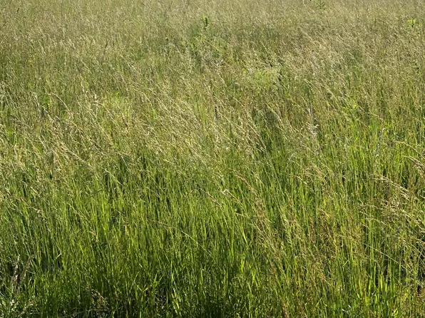 6461 County Lane 123- Lot 7, Carthage, MO 64836