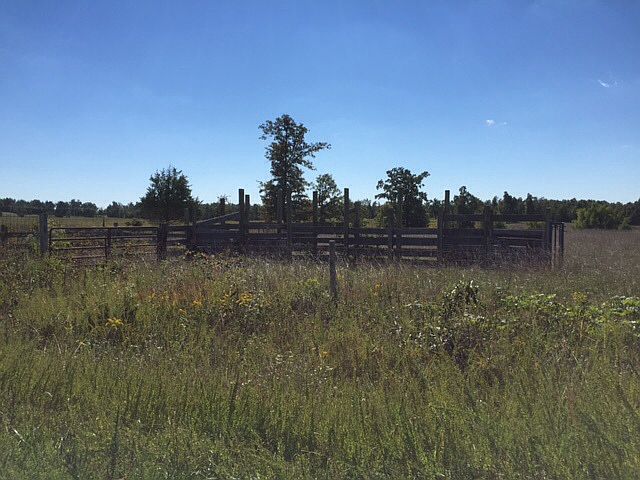 2nd image of 75 Buschrun Rd