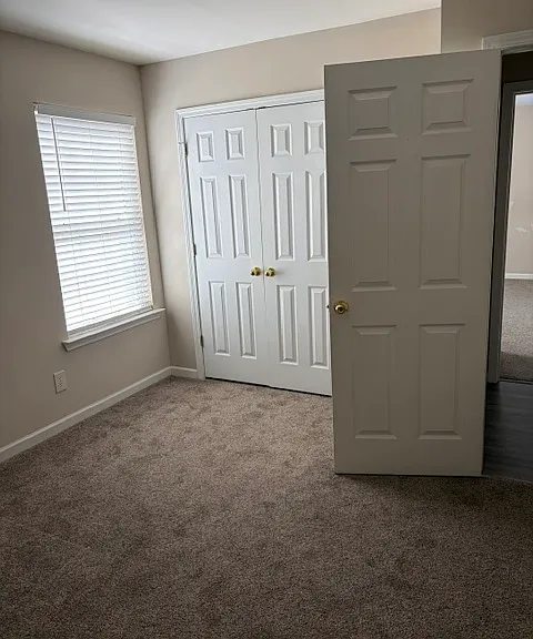 107 Lismore Park Dr — Photo 21