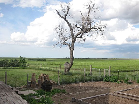 4th image of 11920 Road 34