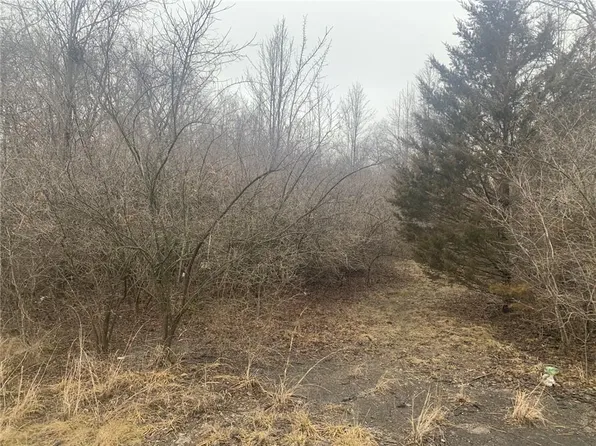 1006 E 92nd St, Kansas City, MO 64131