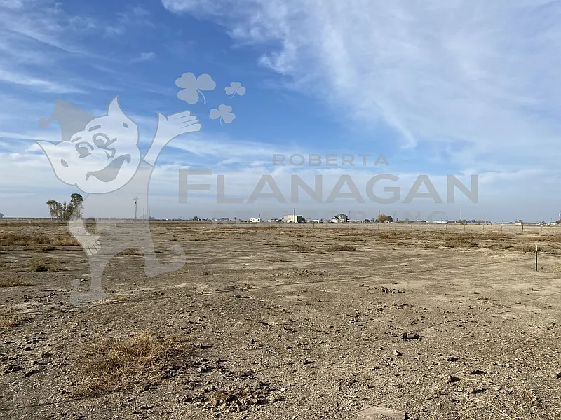 Thumbnail 20