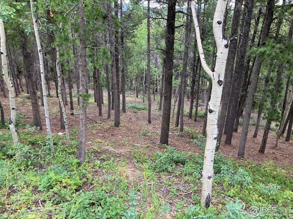 75 Valley View Dr, Nederland, CO 80466