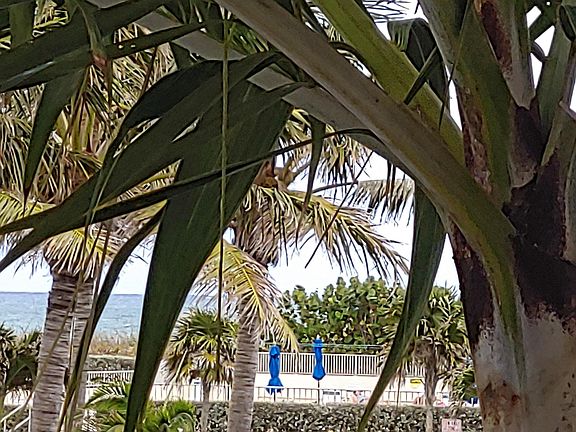 5th image of 2565 S Ocean Blvd #2080