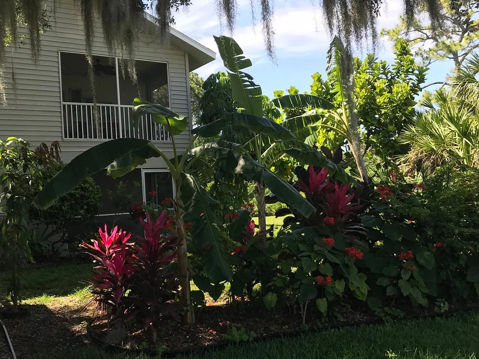 2 bed, 1200 sqft, $1,800 — Photo 3