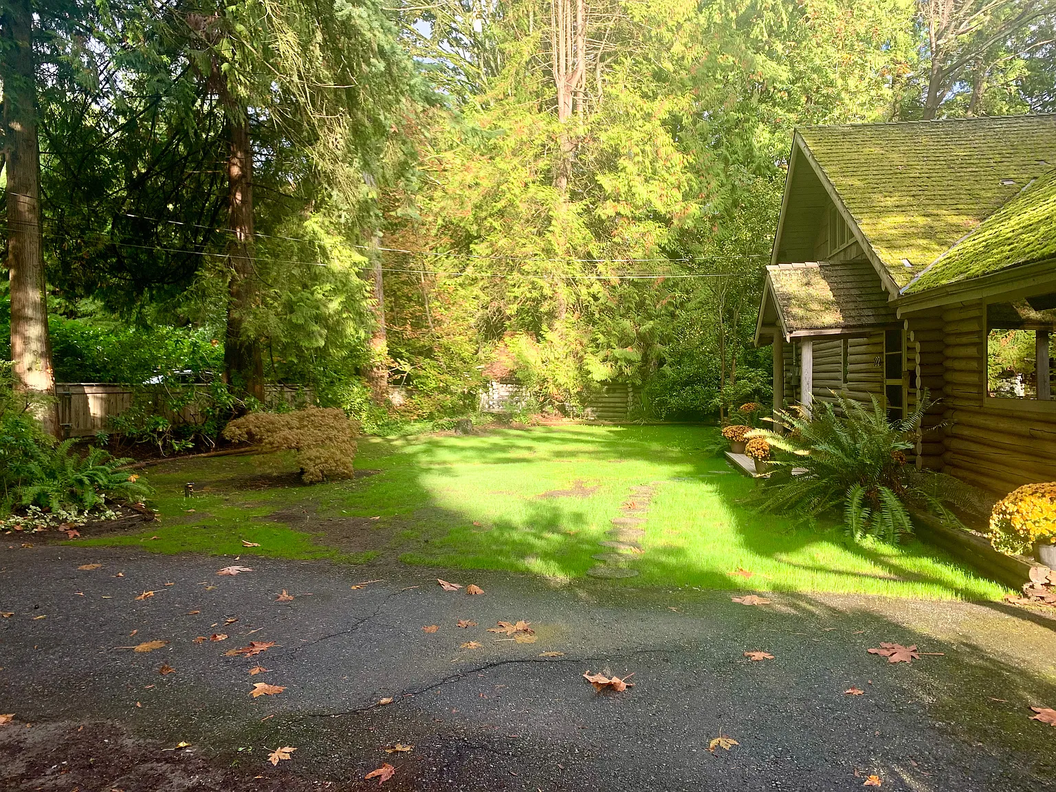 3 bed, 2400 sqft, $5,500 — Photo 2