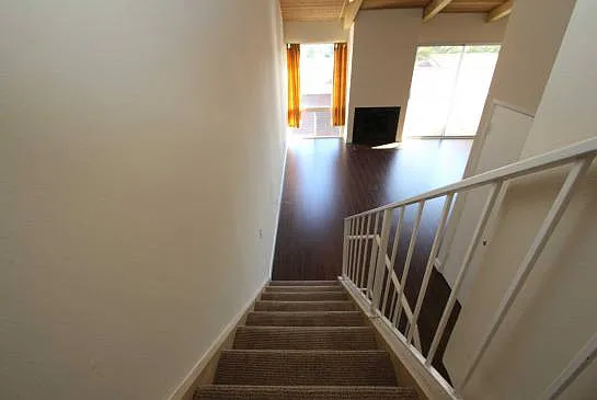 28310 Rey De Copas Ln — Photo 25