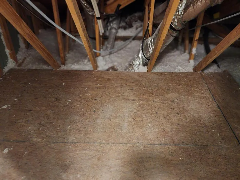 1815 Fox Den Way #3 — Photo 35