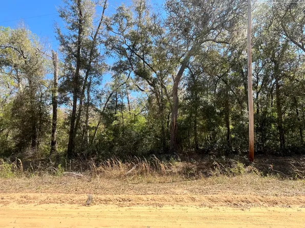 Tbd Walker Drive, Interlachen, FL 32148