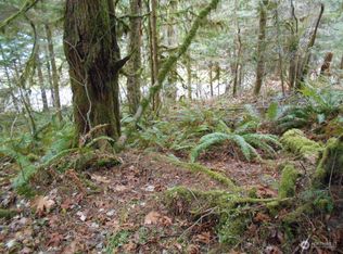 0 Elk Dr, Brinnon, WA 98320