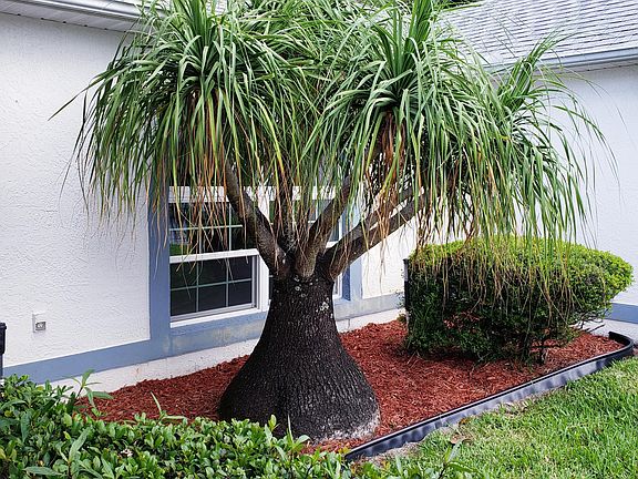 3rd image of 2370 Oak Creek Cir