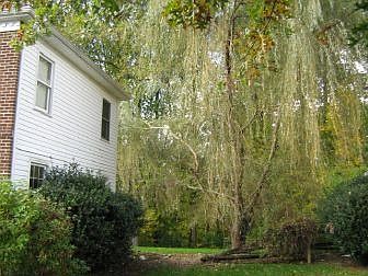 Right Side of House
