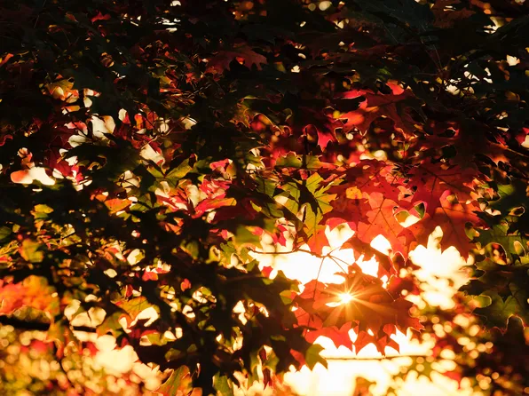 567 Fulton Street image 27 of 29