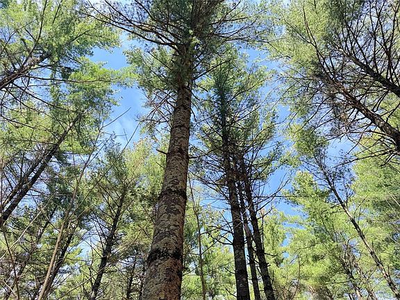 4th image of 20 Acres Star Lake Road