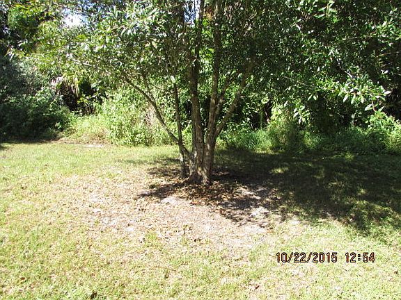 3rd image of 4806 Anglevilla Drive