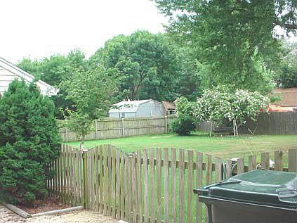back yard